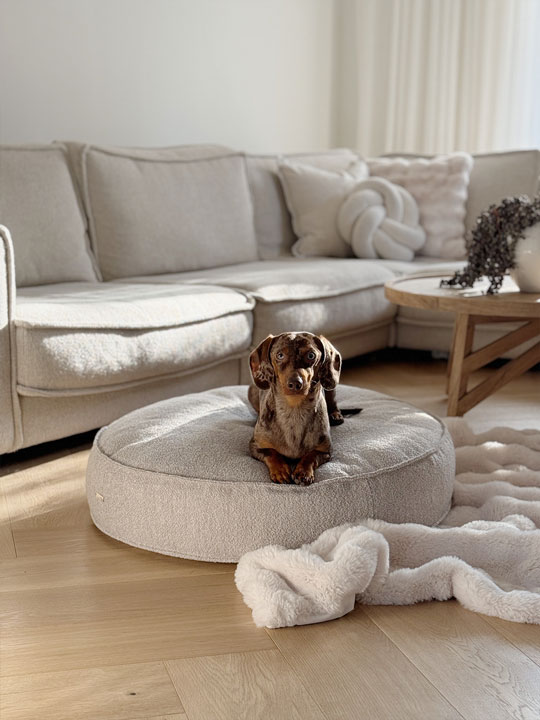 Hundebett