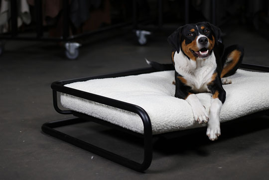 Hundebett